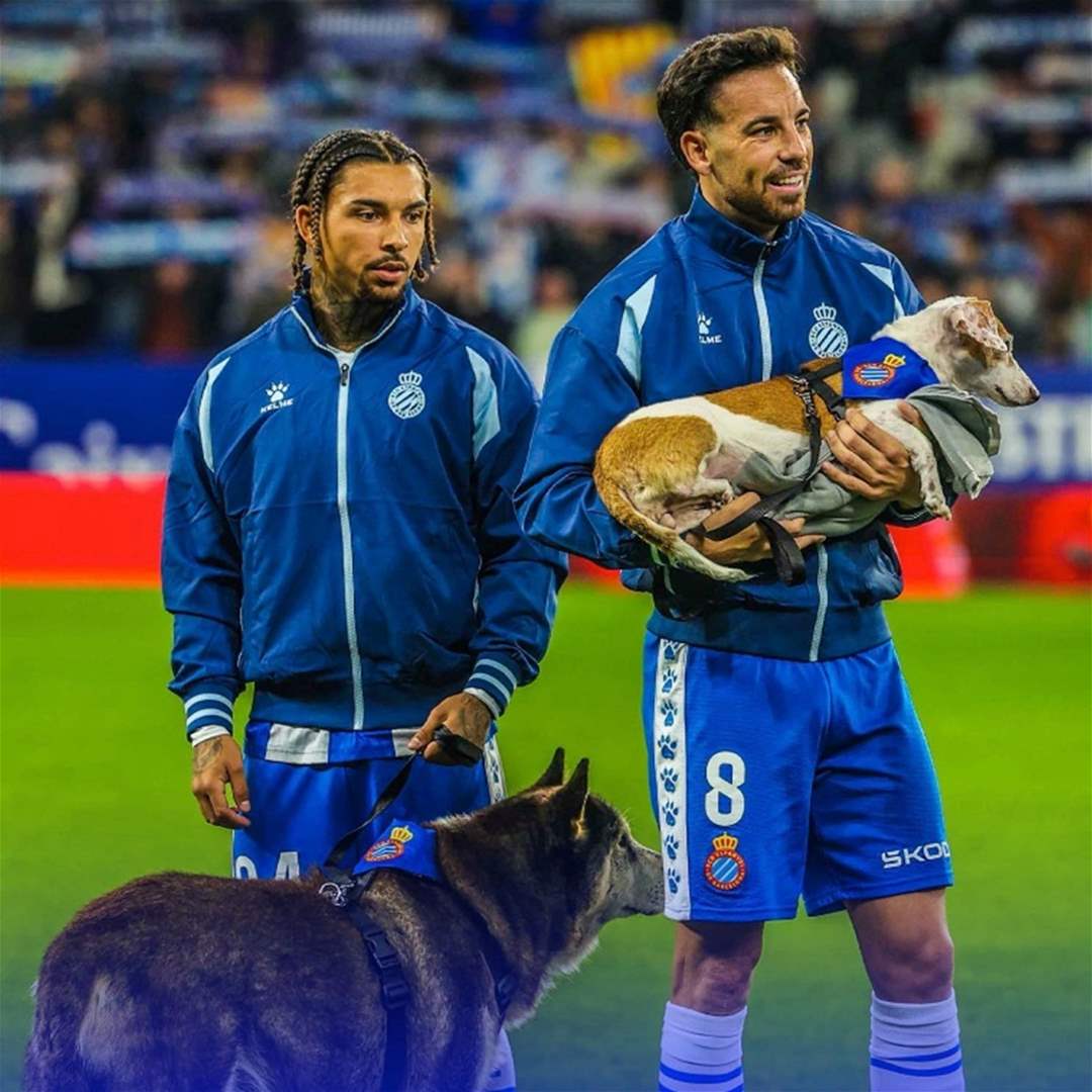مبادرة لافتة من إسبانيول: اللاعبون الى الملعب برفقة كلاب للتبنّي