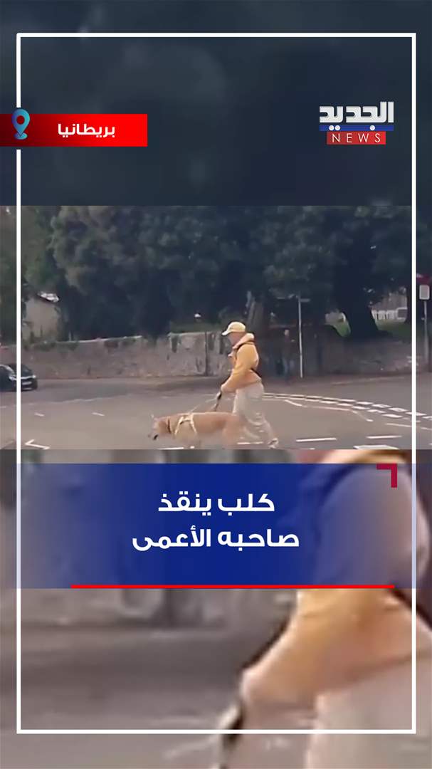 كلب ينقذ صاحبه الأعمى (فيديو)