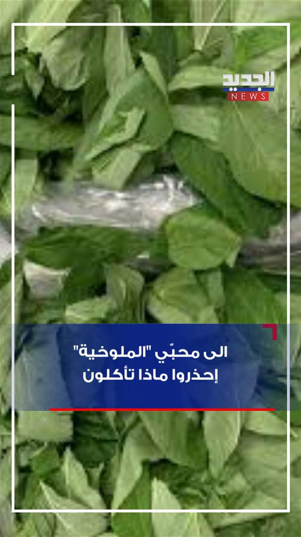 إلى محبّي "الملوخية".. احذروا ماذا تأكلون! (فيديو)