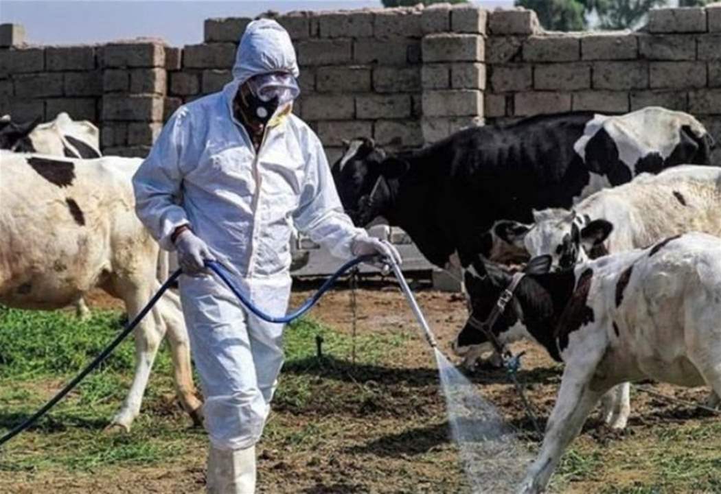 بعد انتشار الحمى القلاعية.. التفتيش المركزي يتحرك