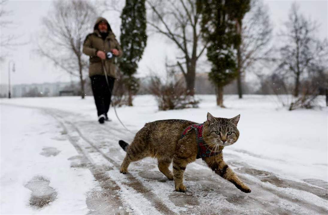 بالفيديو: البرَد يكسو الأرض بياضًا 