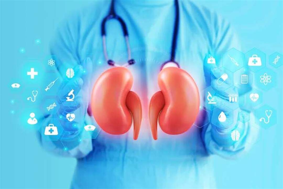 شاب يبيع كليته على الإنترنت… هذا ما حل به! 