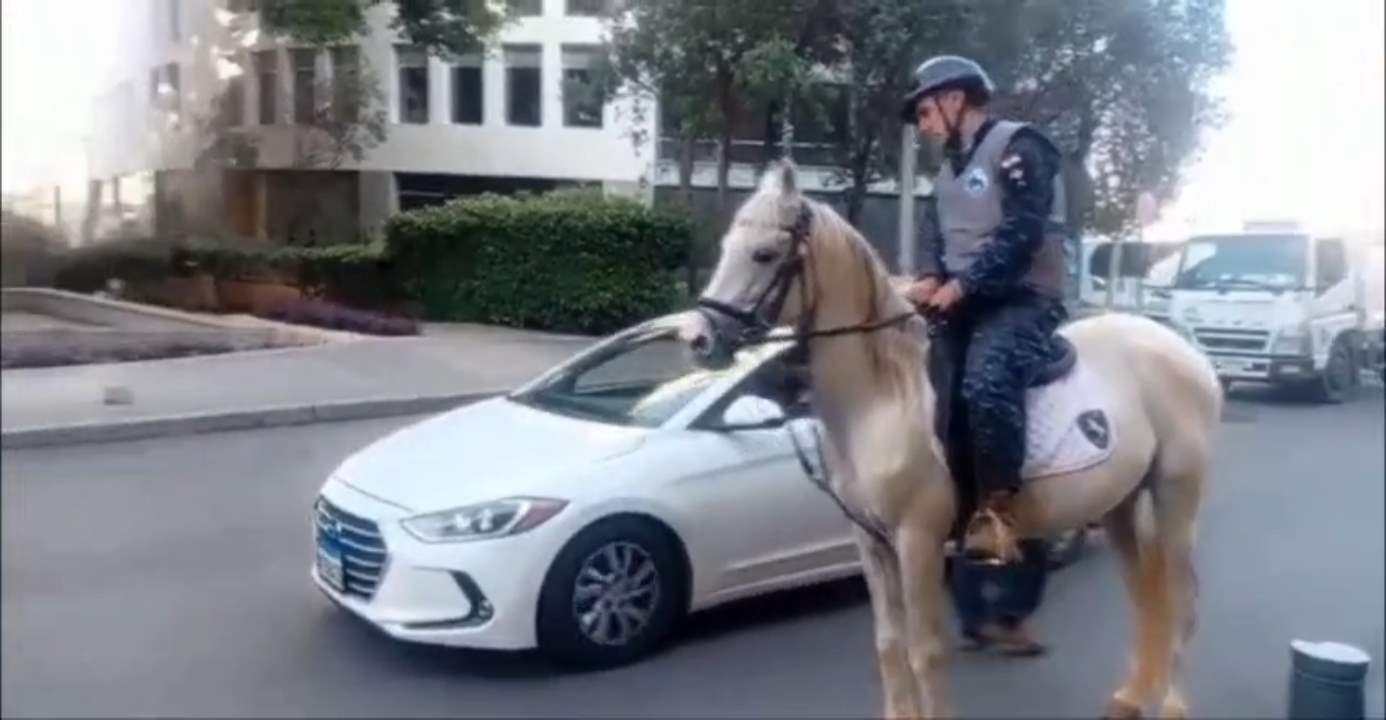 بهدف ضبط المرور.. دوريات على الحصان (فيديو)
