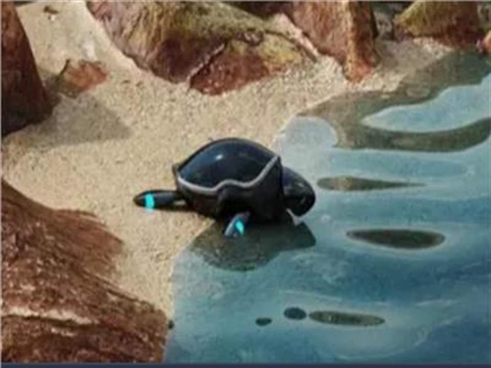 روبوت السلحفاة - شاهد الفيديو