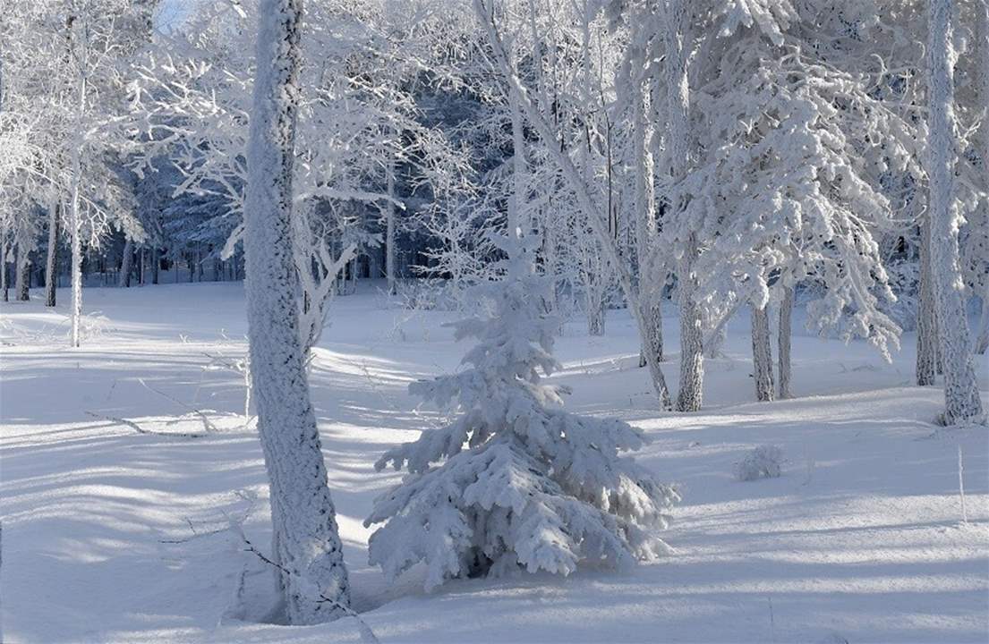 بالفيديو.. الثلوج تُغطّي ضهر البيدر