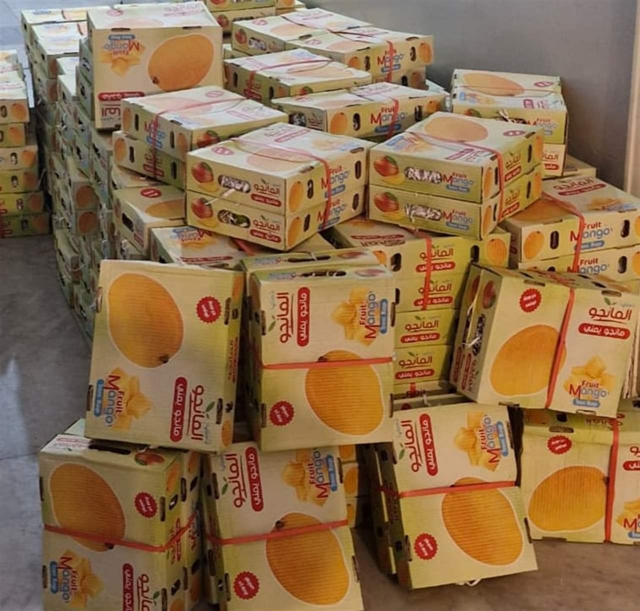 في الشمال.. مانغا مهربّة بقبضة الجمارك