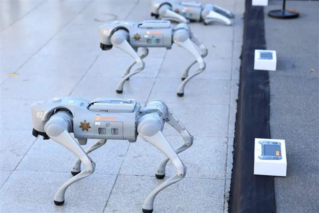 كلاب روبوتية في ملاعب كرة القدم (فيديو)