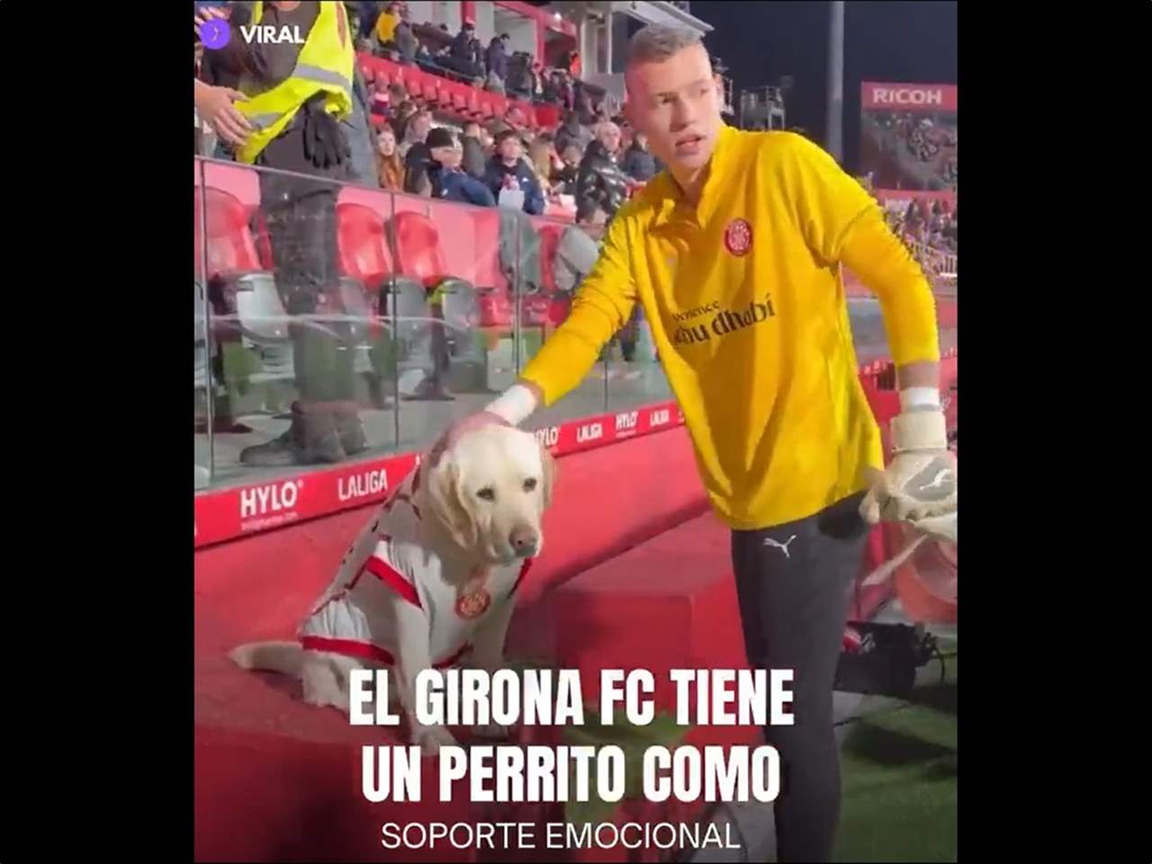 فيديو - عضو غير معتاد في جيرونا وفأل خير