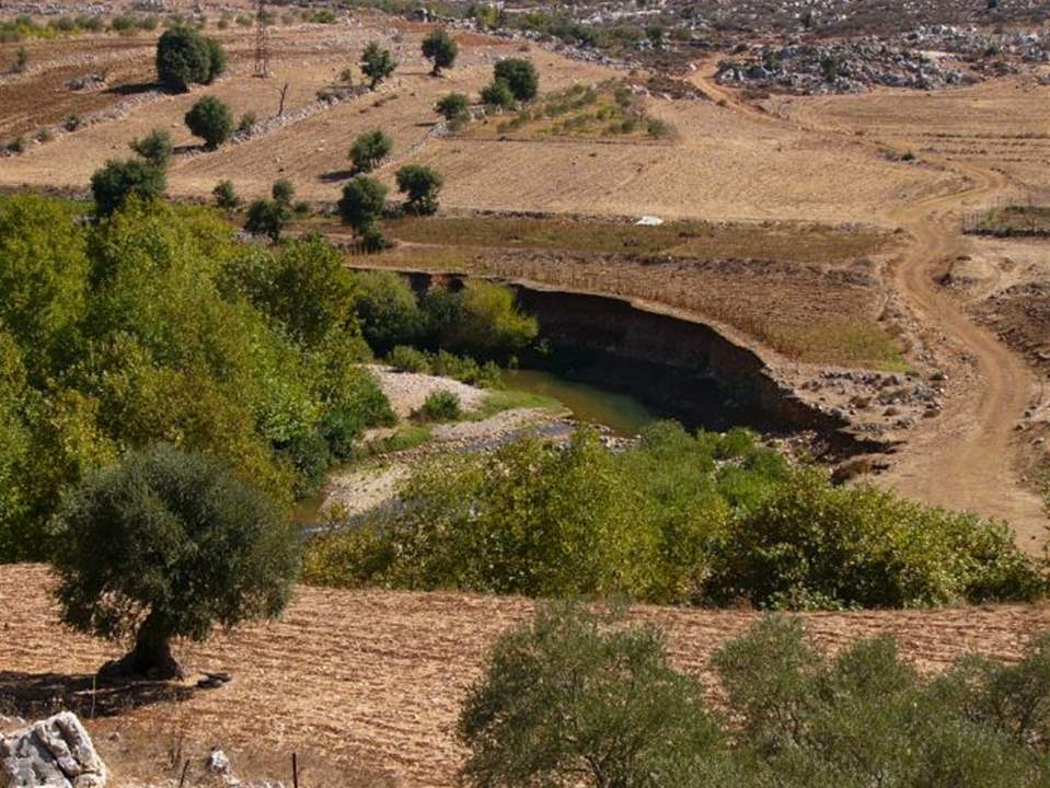 على خلفية العلم في ابل السقي.. توضيح من أهالي البلدة 