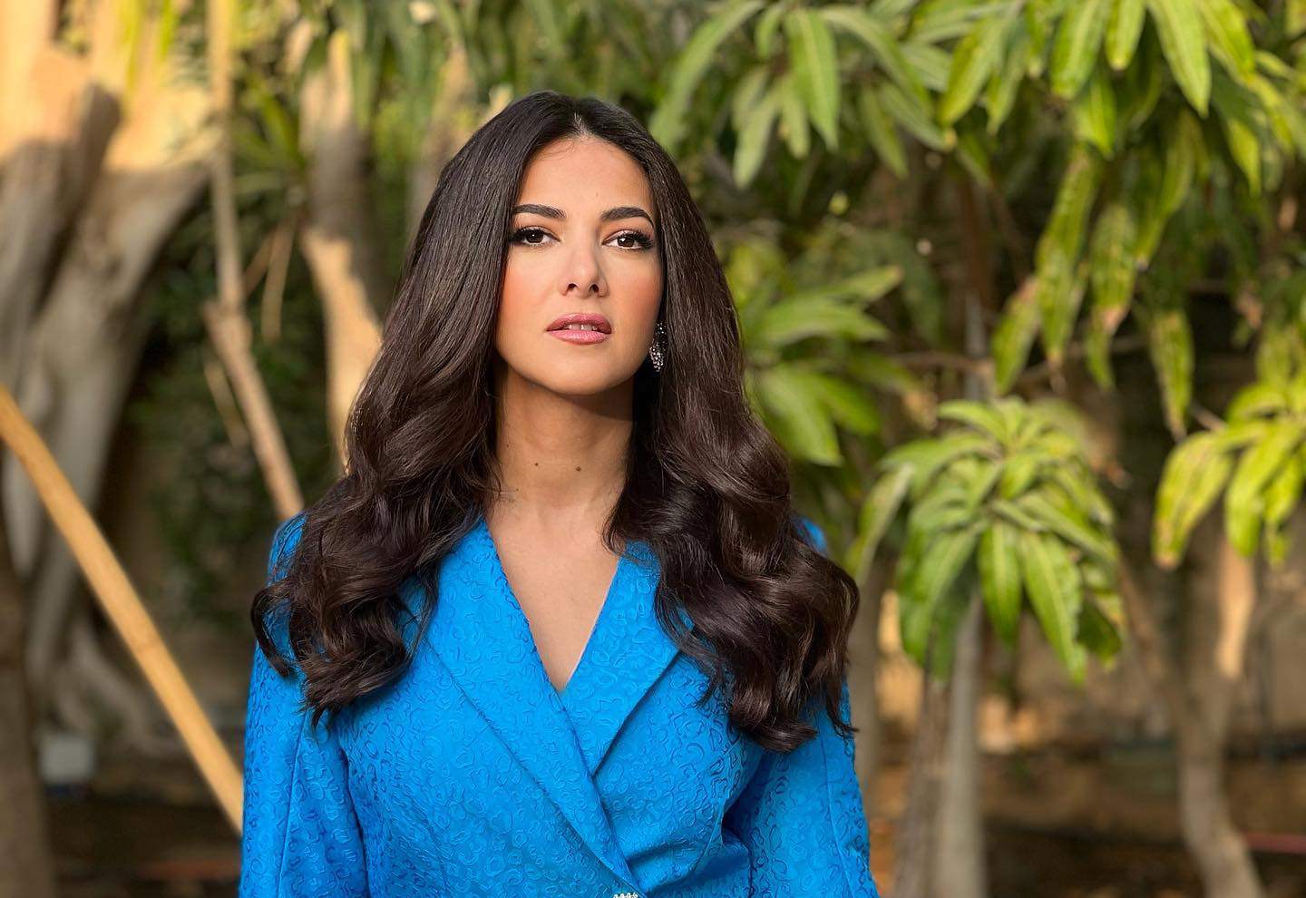 دنيا سمير غانم تدعو الجمهور للدعاء للفنان هاني شاكر في أزمته الصحية