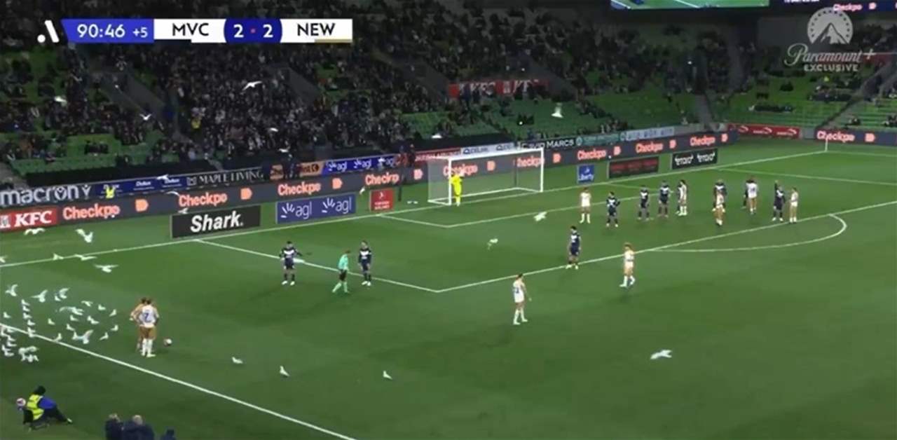 فيديو - الطيور تغزو الميدان في مشهد نادر