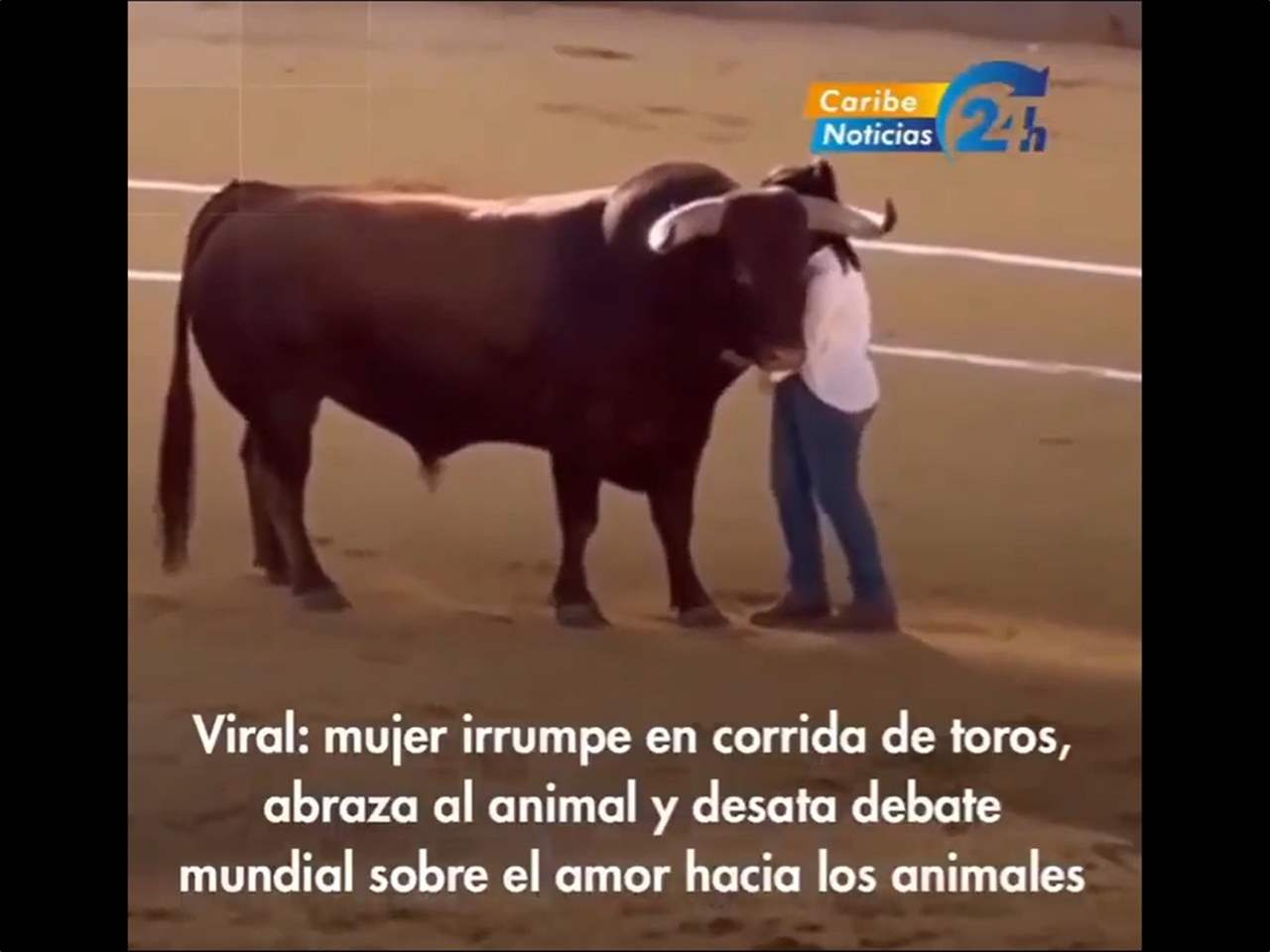 فيديو - سيدة تقتحم حلبة المصارعة وتعانق الثور