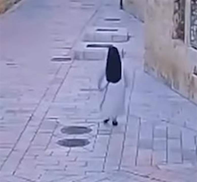 مستوطن يعتدي على راهبة في القدس (شاهد الفيديو) 