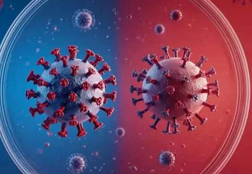 عن فيروس "هانتا".. بيان لوزارة الصحة! 