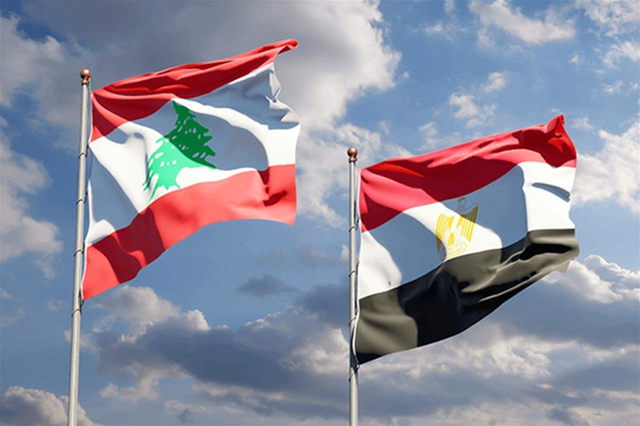 فيديو - تحية لبنانية في المطار بعد تأهل مصر