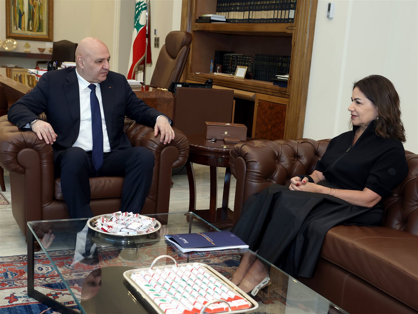"عودة الأهالي والتمويل".. بين الرئيس عون ووزيرة الشؤون 