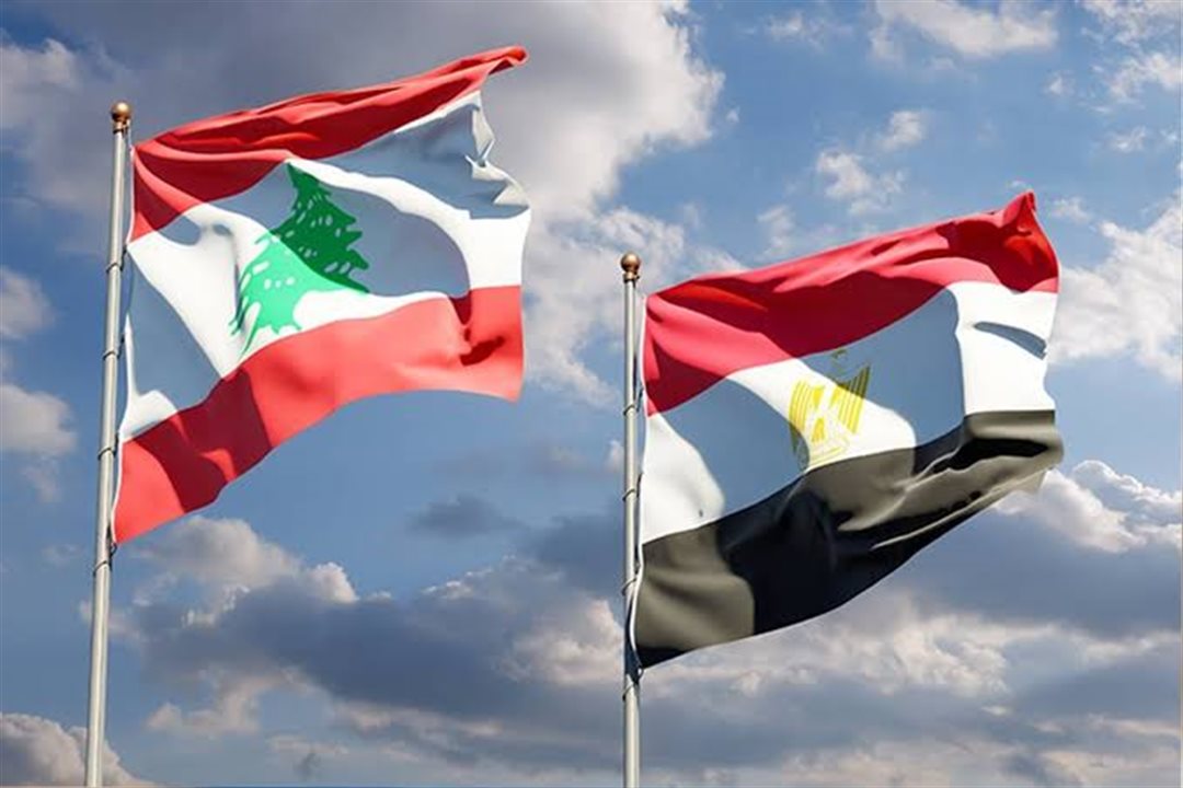 10 أطنان من الأدوية المصرية إلى لبنان دعماً للقطاع الصحي