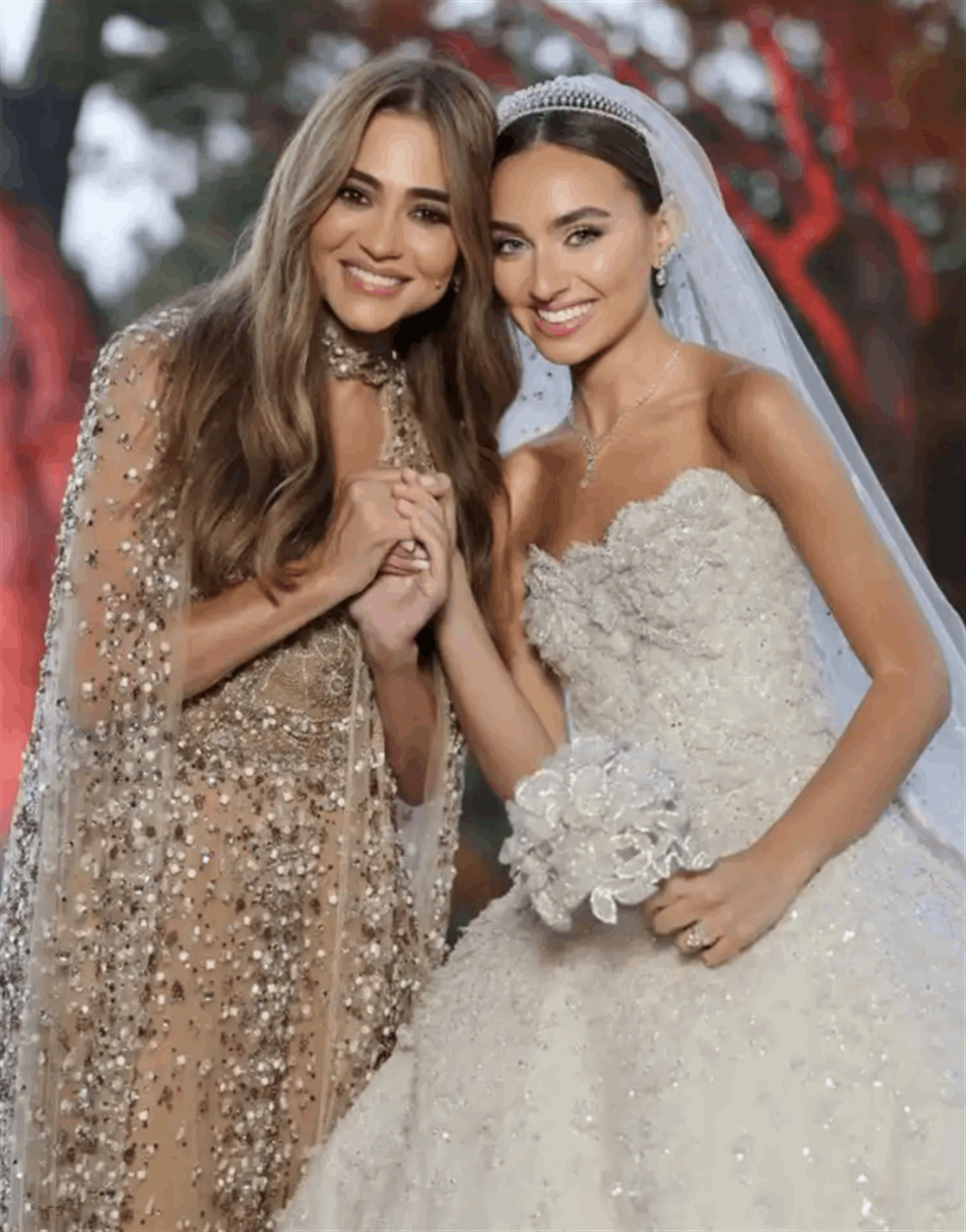 julia Boutros’ Son Celebrates Lavish Lebanon Wedding as Emotional Moments and Celebrity Surprises Steal the Spotlight
