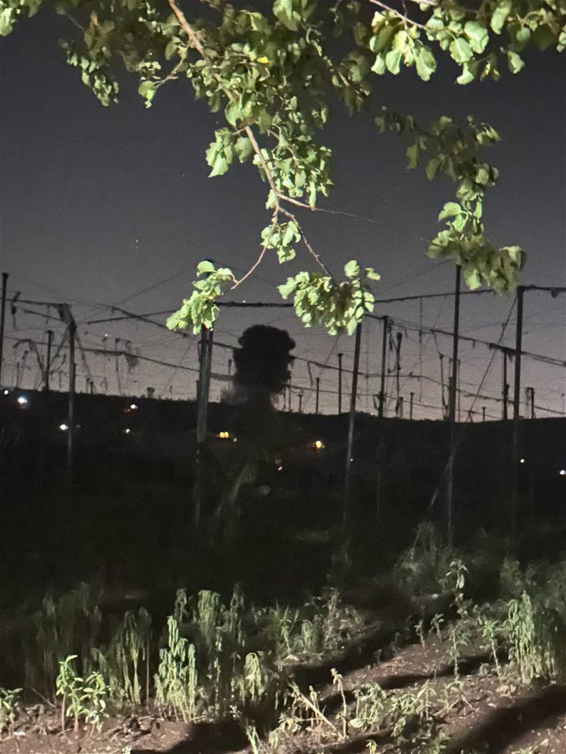 مراسل الجديد: غارة على بلدة  المنصوري قضاء صور