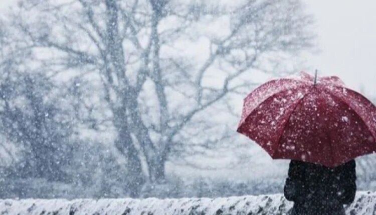 What Will the Weather Be Like in the Coming Days?