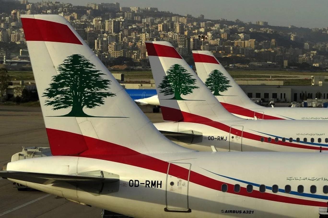 صورة الخبر