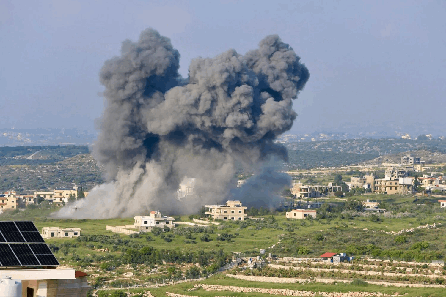 صورة الخبر