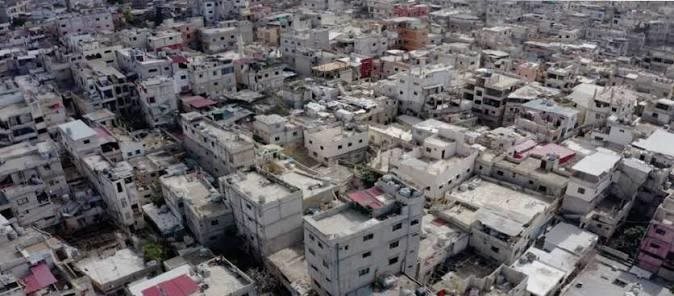 صورة الخبر