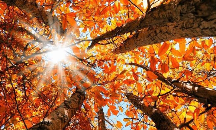 غيوم وضباب اليوم والخميس يحمل المفاجأة.. كيف سيتغير الطقس؟