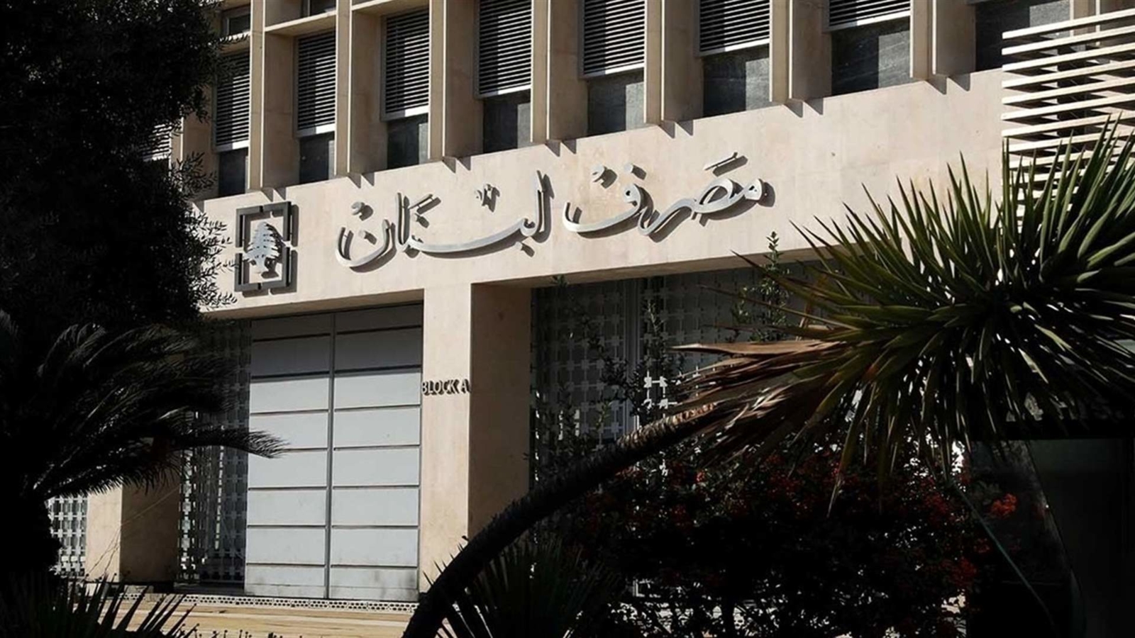 صورة الخبر