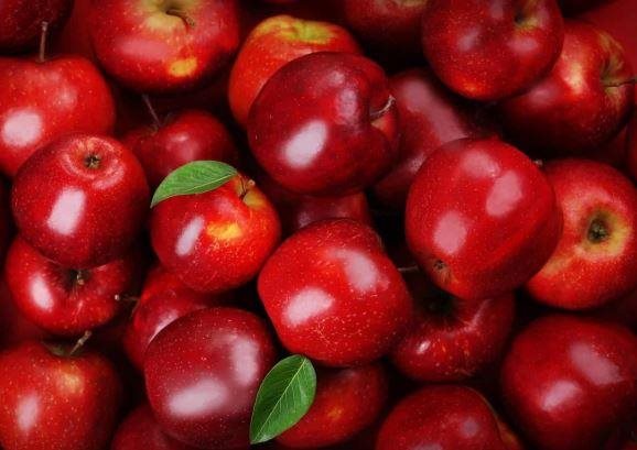 مليون دولار لدعم التفاح اللبناني.. إليكم التفاصيل