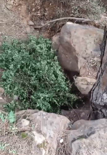 كيف تم العثور على نفق الفنار؟.. معلومات الجديد تكشف! 