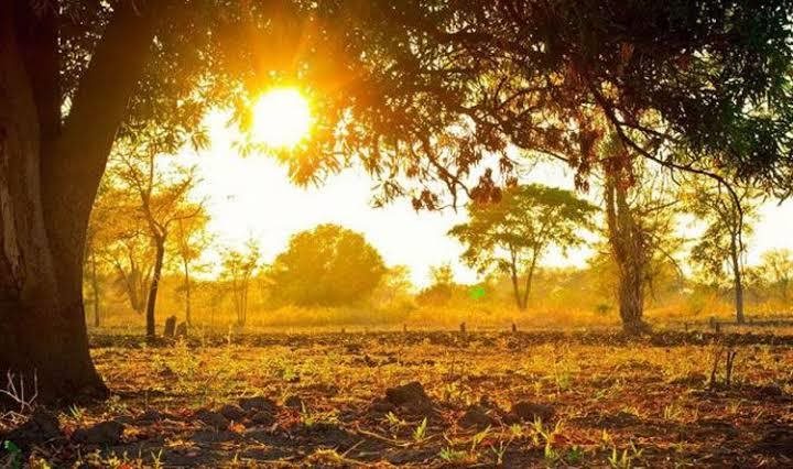 الحرارة فوق معدلاتها.. إليكم طقس الأيام المقبلة