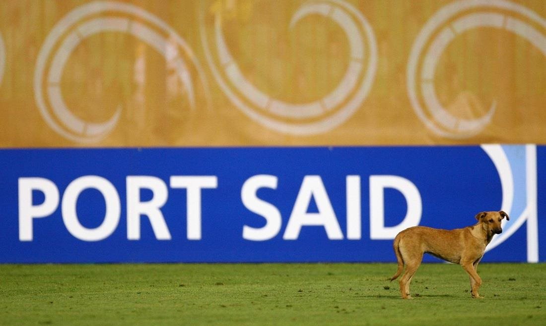 فيديو - كلب يقتحم مباراة ويُربك اللاعبين
