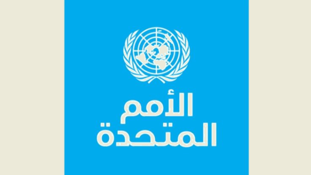 الأمم المتحدة تدعو إلى هدنة إنسانية فورية في غزة