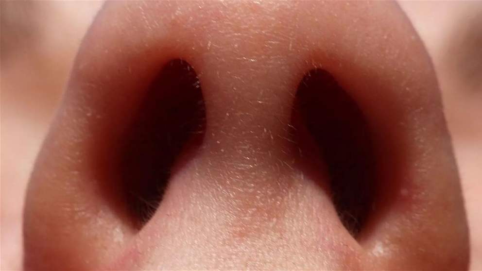  دراسة: كل فتحة من أنف الإنسان تشم الرائحة بشكل مختلف