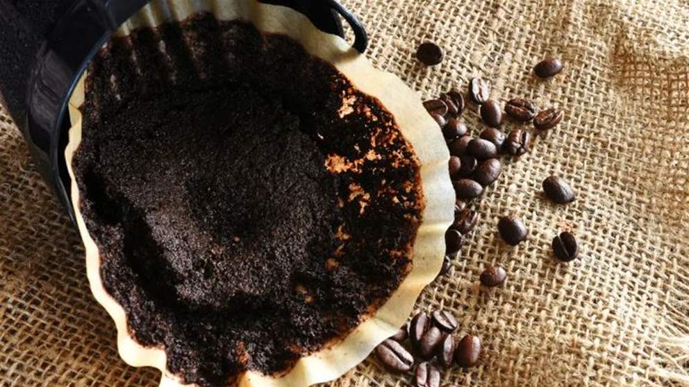  "تفل القهوة" يمكن أن يحمي الدماغ من مرض عصبي