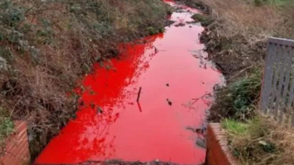 "نهر الدم" يرعب البريطانيين!