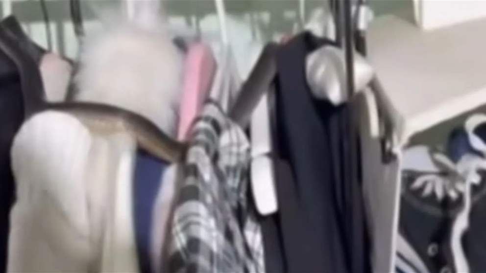 بالفيديو - أفعى شديدة السمية في خزانة ملابس!