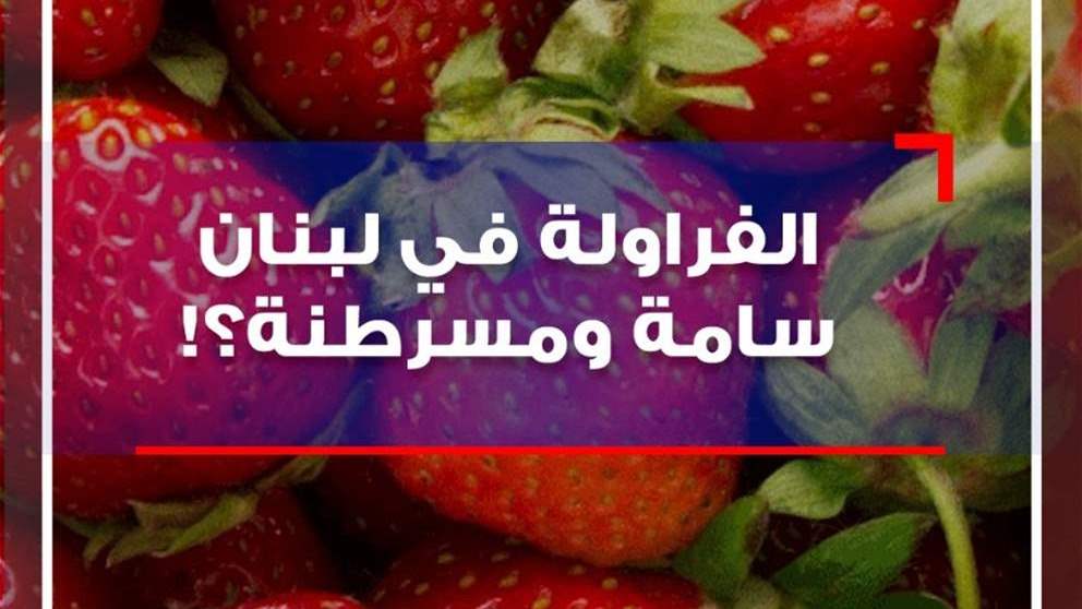 بالصوت والصورة - الفراولة في لبنان سامة ومسرطنة؟! 