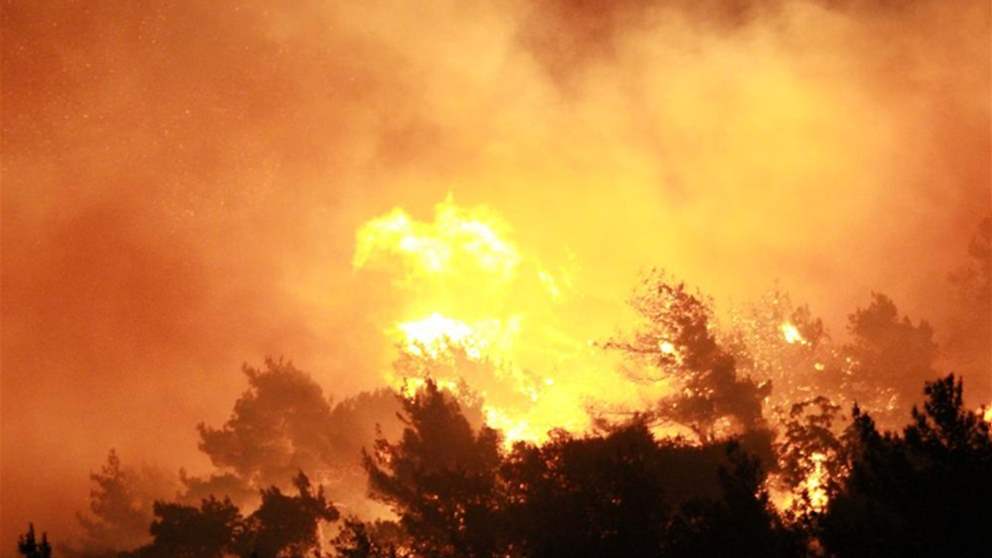 بالفيديو - حريق ضخم في منطقة جبل البداوي 