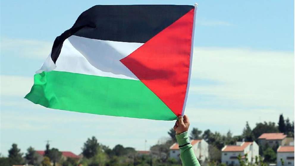 البرلمان الدنماركي يرفض قانون الاعتراف بدولة فلسطين
