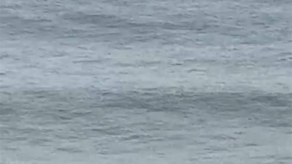 منتظراً التسونامي عقب الزلزال.. راكب أمواج متهور! (فيديو) 