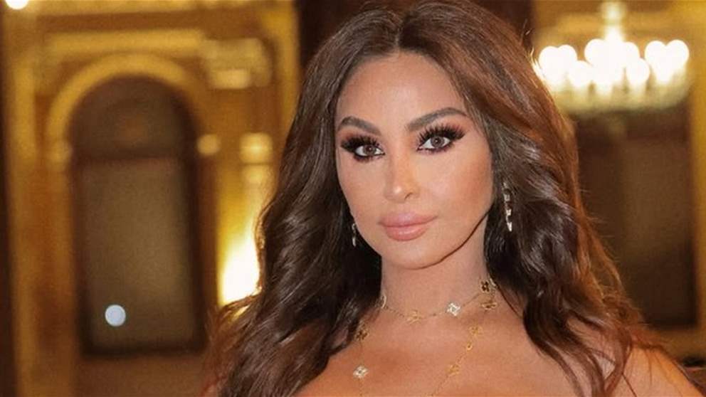 بعد تحقيق "الجديد" حول ما تعرضت له إليسا .. الامن العام اللبناني يتحرك