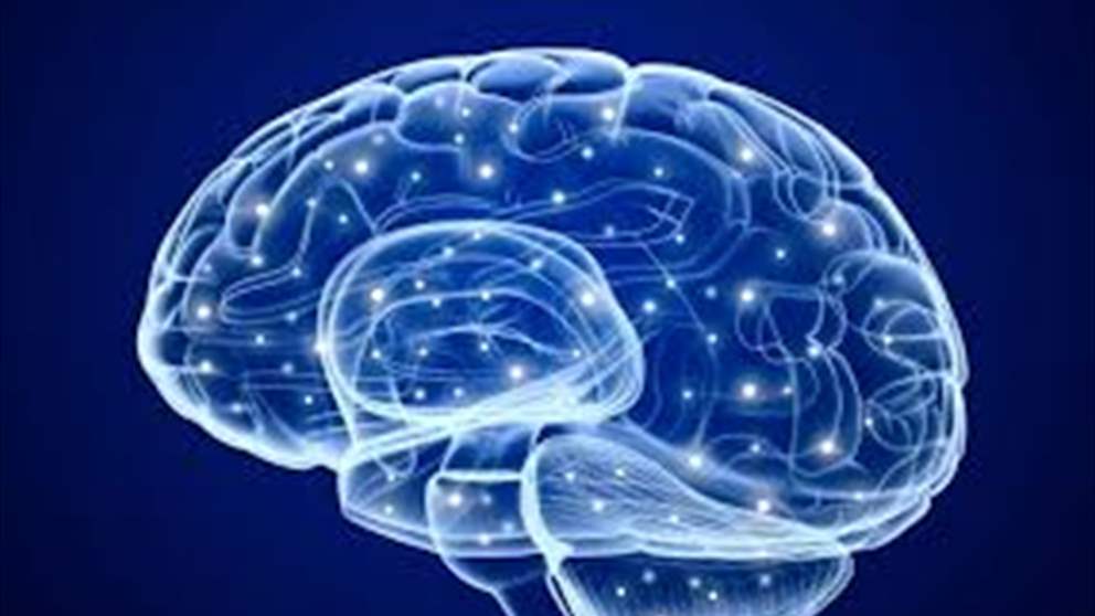 هذه الأطعمة توقف تدهور الذاكرة وتحسن التركيز