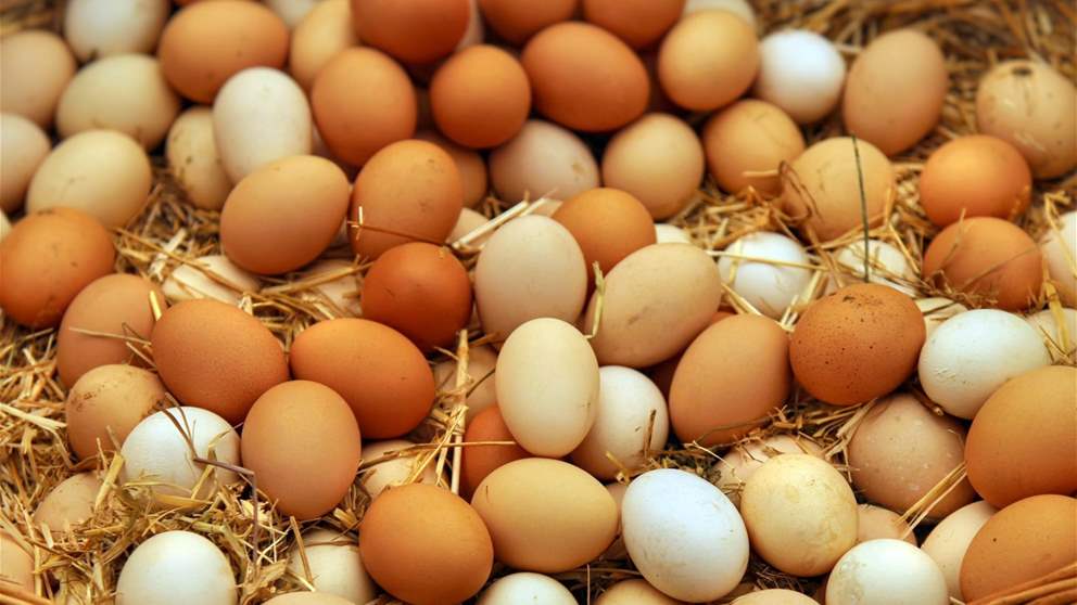 هل يجب غسل البيض قبل إستخدامه؟ اليك الحقيقة الكاملة
