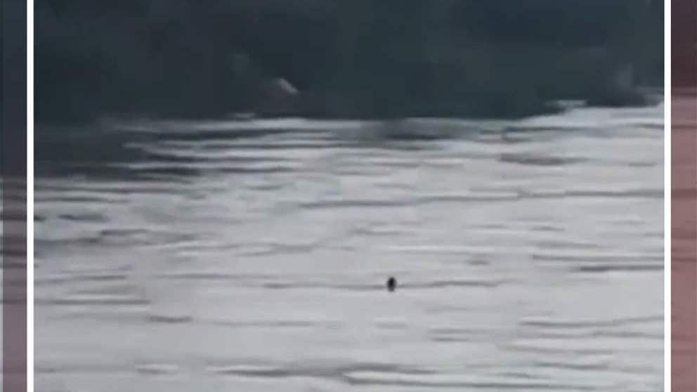 شاب يخسر حياته.. مقابل 5 دولارات (شاهد الفيديو)