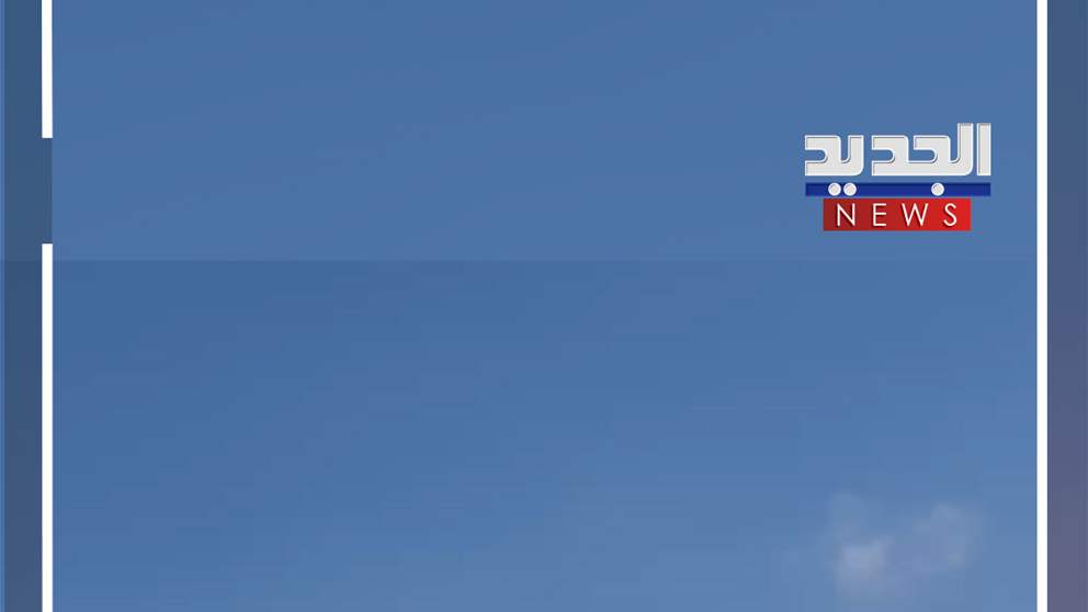 جولة للوفد الأميركي جنوب الليطاني (فيديو)