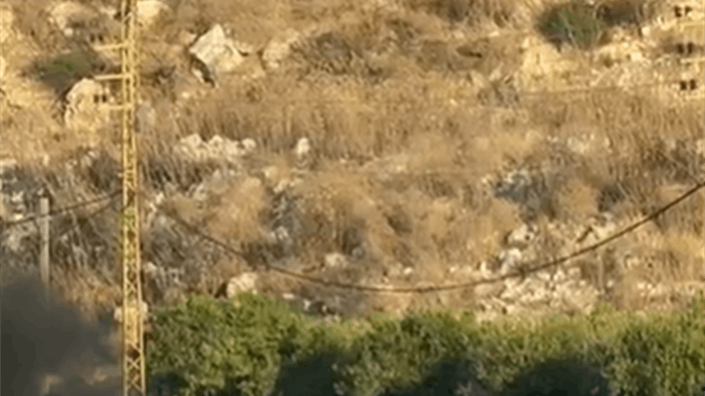 شهيد في غارة إسرائيلية بين بلدتي عين بعال والبازورية (فيديو) 