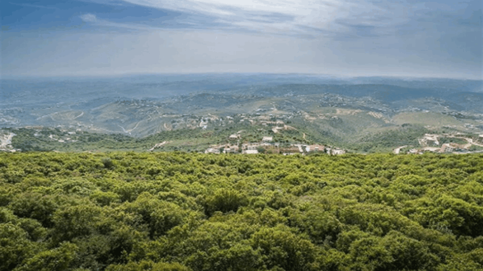 نائب في "حزب الله": المقاومة لم تعُد خياراً