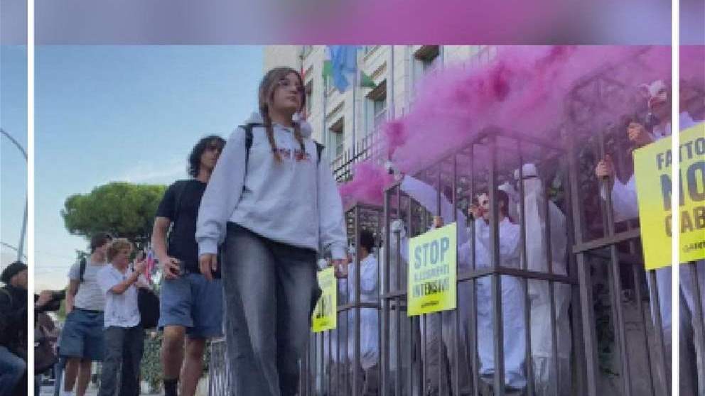 البشر في القفص..دفاعاً عن الحيوانات (شاهد الفيديو)